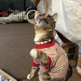 PetSmart - Pet Stores Near Me - Garden Grove, California