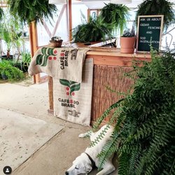 Natura Greenhouse - Here with polothegreenhousedog