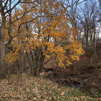 Taylor Memorial Arboretum - Parks Near Me - Wallingford, Pennsylvania