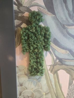 Succulent Fine Dining by null