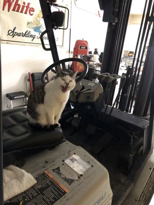 Quality Cleaners Drapery Service