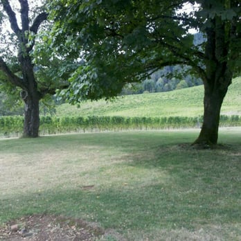 David Hill Winery - David Hill - Wineries Near Me - Forest Grove, Oregon