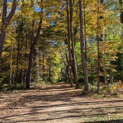 Little Pond Boardwalk Trail