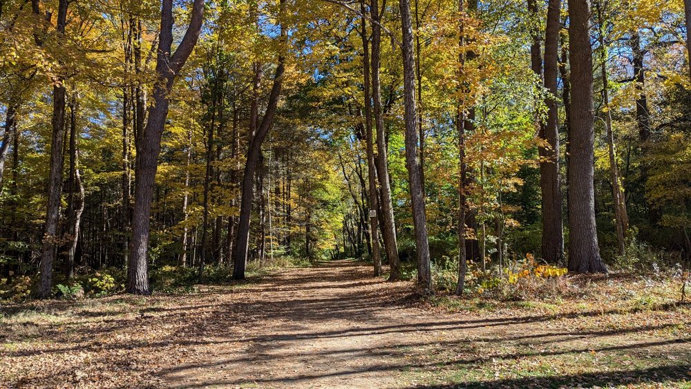 Little Pond Boardwalk Trail Logo