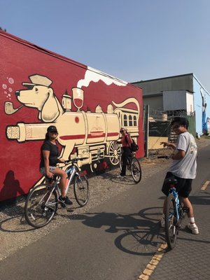 Napa Valley Vine Trail by null