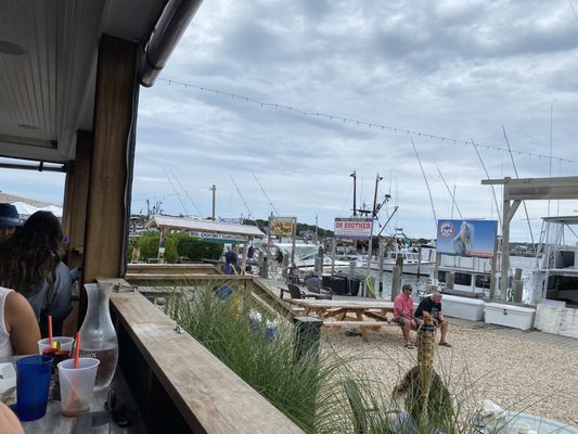 Clam and Chowder House at Salivar's Dock by null