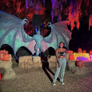 Harry P Leu Gardens - Entrance before trail starts - Venues & Event Spaces Near Me - Orlando, Florida Harry P Leu Gardens - Entrance before trail starts - Venues & Event Spaces Near Me - Orlando, Florida
