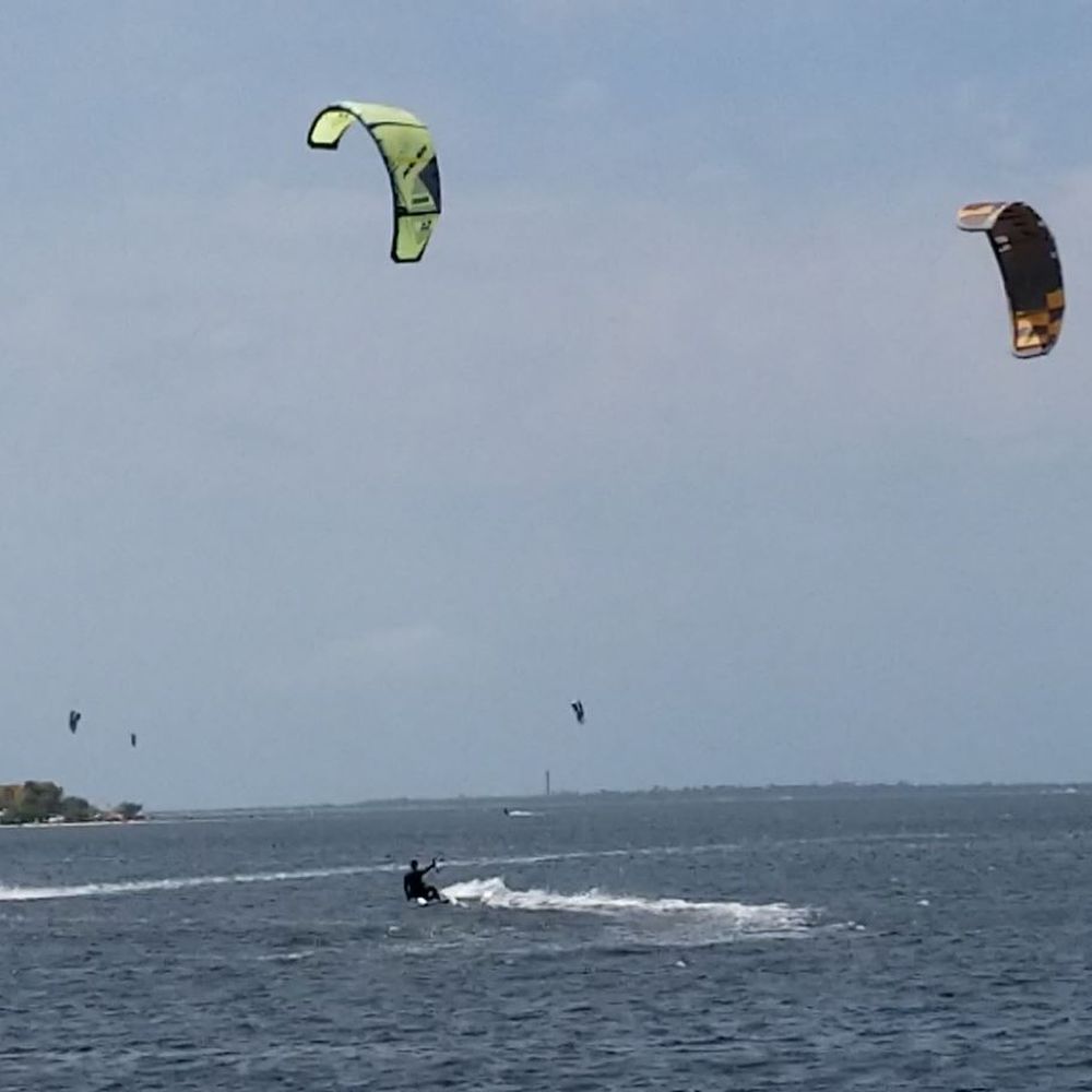 Fred Howard Park - windsurfing - Parks Near Me - Tarpon Springs, Florida Fred Howard Park - windsurfing - Parks Near Me - Tarpon Springs, Florida