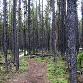 Morrell Falls - Near the trailhead. - Hiking Near Me - Seeley Lake, Montana