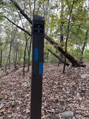 Sugarloaf Mountain by null