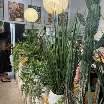 The Seed - Coffee & Tea Near Me - Coconut Creek, Florida