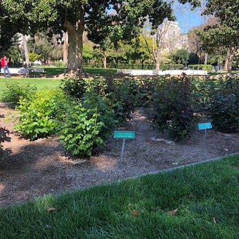 Capitol Park - Parks Near Me - Sacramento, California Capitol Park - Parks Near Me - Sacramento, California