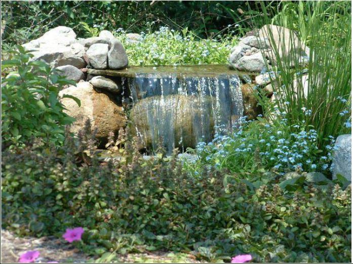 Aesthetic Landscapes - tree service in Mandeville, LA