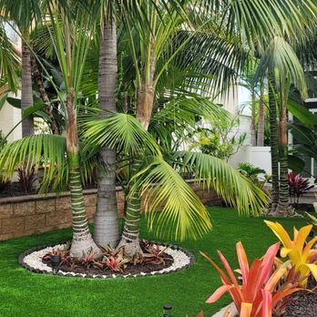 GTP Design & Build - Landscaping Near Me - Spring Valley, California