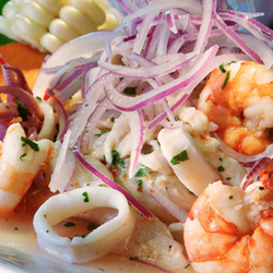 Inca's Peruvian Cuisine