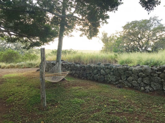 Puakea Ranch by null