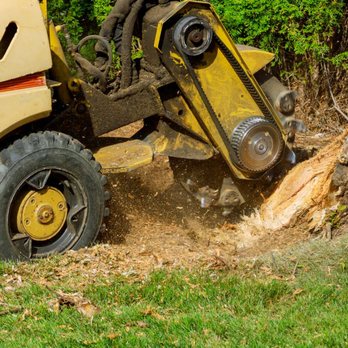 Cajete Tree Service - Tree Services Near Me Cajete Tree Service - Tree Services Near Me
