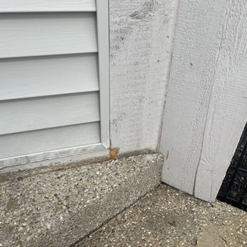 Pro Concrete Leveling - Masonry/Concrete Near Me - Monroe, Michigan