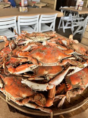 Hooper's Crab House by null