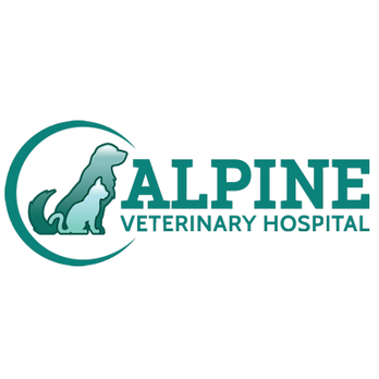 Alpine Veterinary Hospital - Veterinarians Near Me - Murphy, North Carolina Alpine Veterinary Hospital - Veterinarians Near Me - Murphy, North Carolina