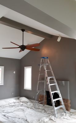 Shannon Lancaster Painting & Wallpaper