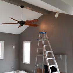 Shannon Lancaster Painting & Wallpaper