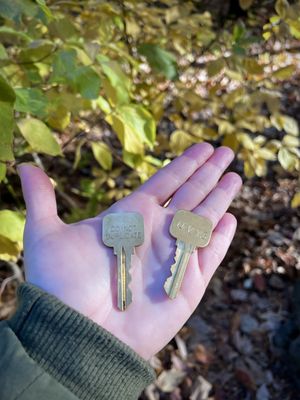 Curry Village by null