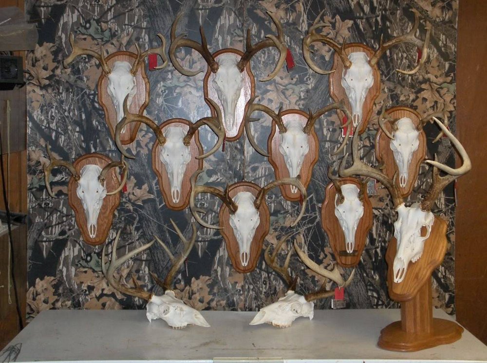 Monchak's Taxidermy - taxidermy in Elizabethtown, PA