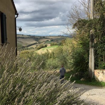 Cantina Tanagatta - Wineries Near Me - Montepulciano, SI