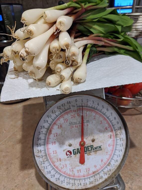 MALCOLM’S GROCERY Updated October 2024 101 S Fork Rd, Moorefield