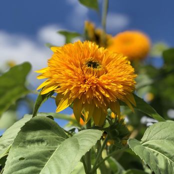 Parlee Farms - Farmers Market Near Me - Tyngsboro, Massachusetts
