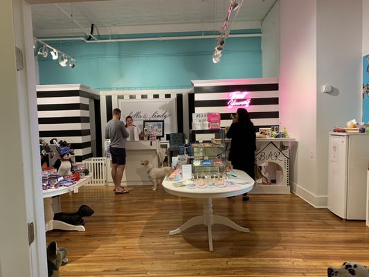 Bella & Lindy Pet Boutique by null