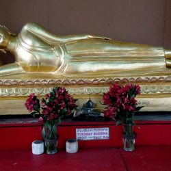 Mon Temple Of Los Angeles - HUGE gold Tuesday Buddha statue