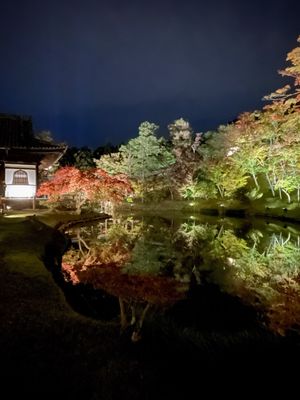 Kōdaiji Temple by null