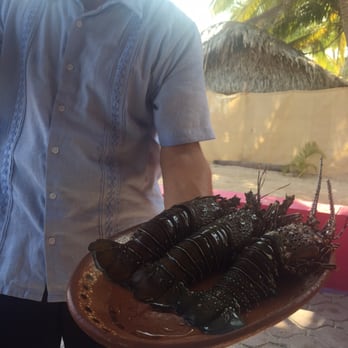 Rosa Mexicano - Fresh Lobsters! - Mexican Near Me - Punta de Mita, NAY