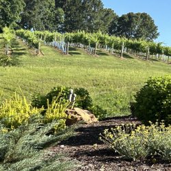 Overmountain Vineyards - Vineyard view from the villa