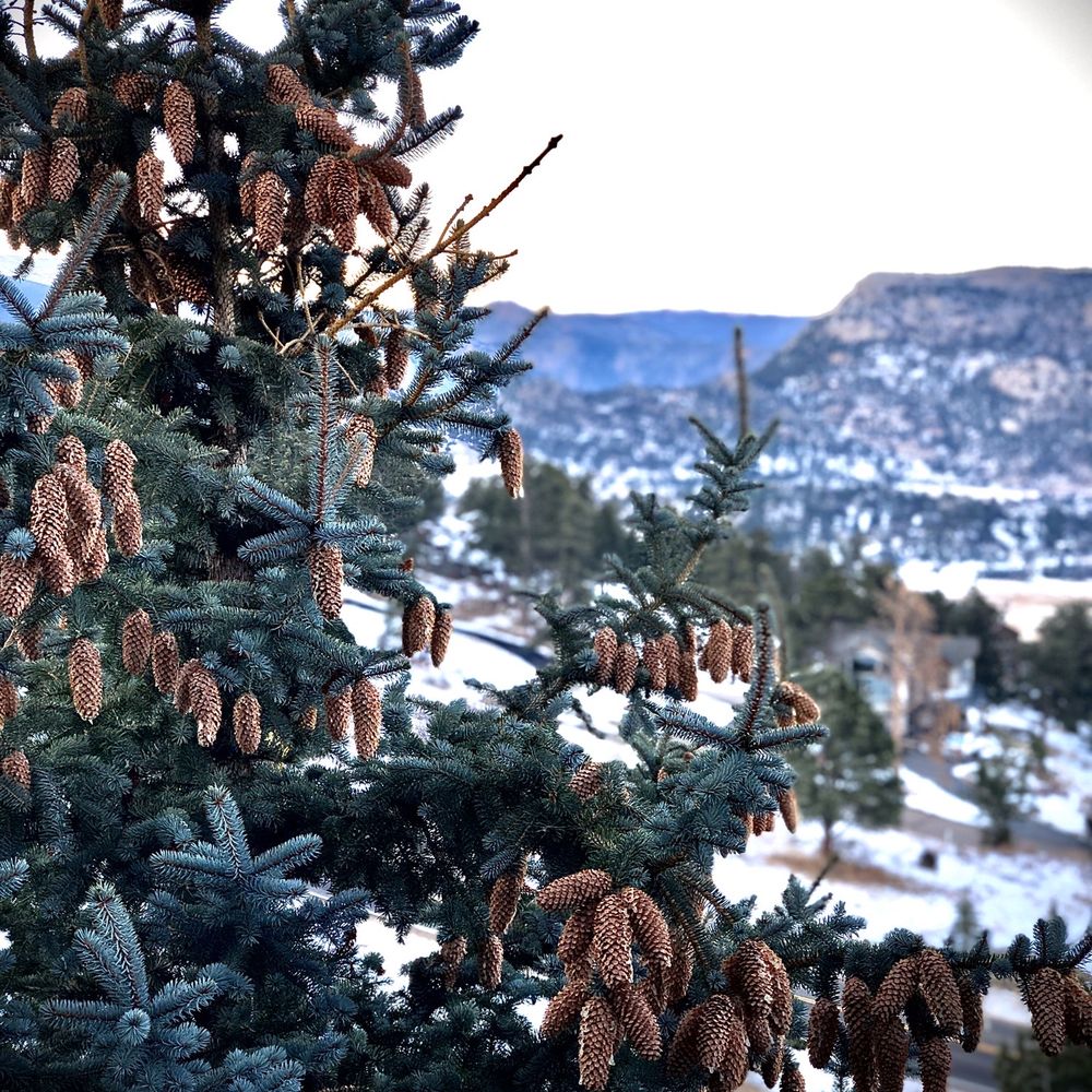 Morning View from first room.
