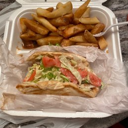 Chicken Gyro with Gravy fries Chicken Gyro with Gravy fries