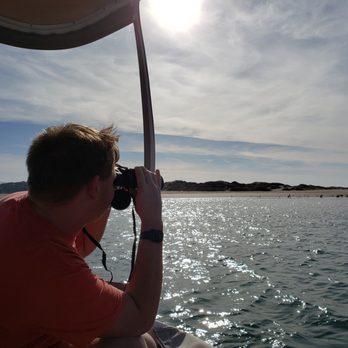 Estero Adventures - Checking out some wildlife - Boating Near Me - Morro Bay, California