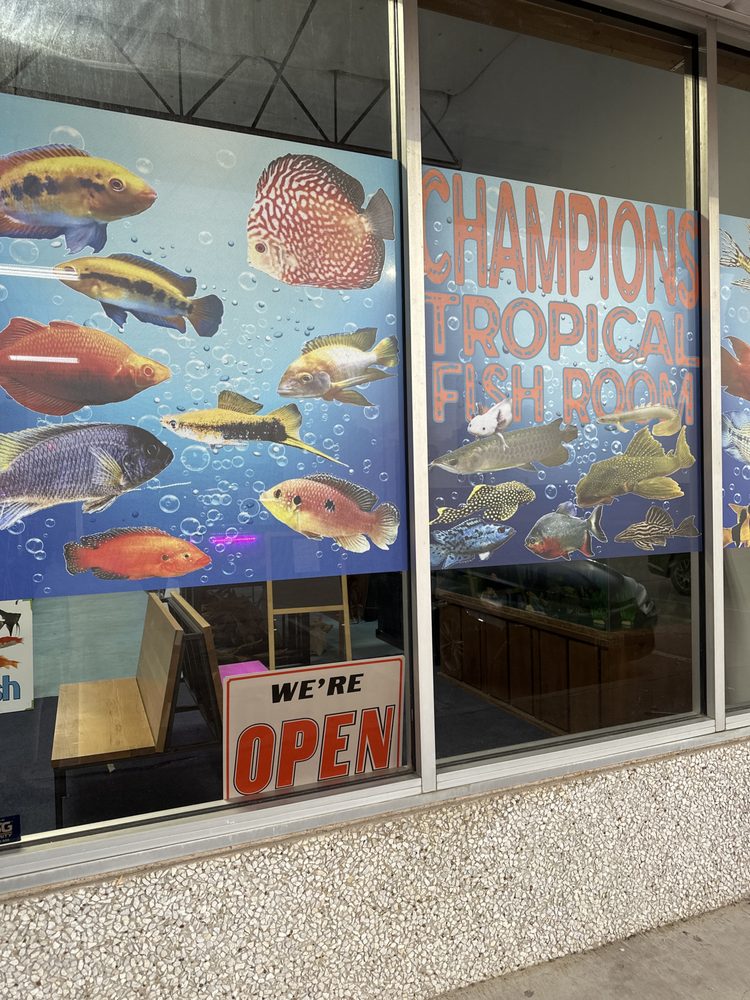 CHAMPIONS TROPICAL FISH ROOM Updated September 2024 1306 W Arkansas