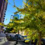 Photo of Windsor Riverfront Park