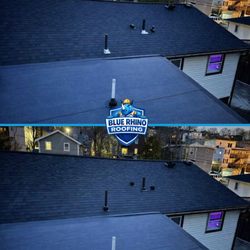 Blue Rhino Roofing