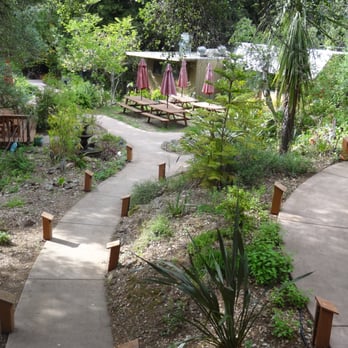 Wildwood Retreat - Walk way - Guest Houses Near Me - Cazadero, California Wildwood Retreat - Walk way - Guest Houses Near Me - Cazadero, California
