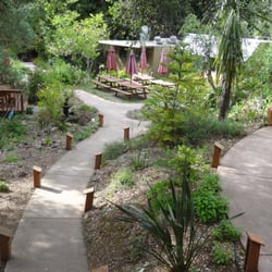 Wildwood Retreat - Walk way