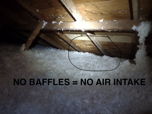 Green Home Specialties