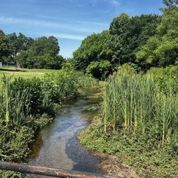 Roebuck Golf Course