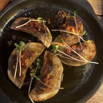 Bar Hana - Wagu Shitake dumplings - Bars Near Me - Sarasota, Florida Bar Hana - Wagu Shitake dumplings - Bars Near Me - Sarasota, Florida