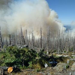 Waterdogg LLC - South Fork Complex fires Shasta Trinity NF and Six Rivers NF August 2023