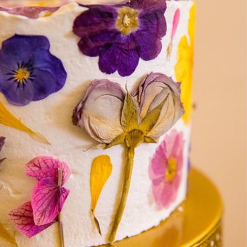 Karen D Photography - Event Photography Near Me