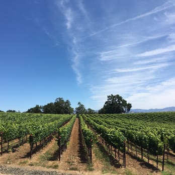 Williams Selyem Winery - Wineries Near Me - Healdsburg, California